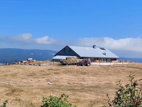 Romandie – Landwirtschaftsbetriebe und Anpassung an den Klimawandel