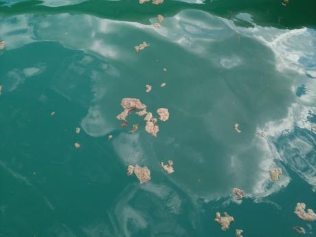 Romandie – Wie wirkt sich der Klimawandel auf Seen und Flüsse aus?