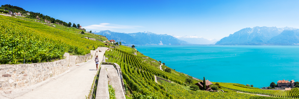 Klima der Waadtländer Riviera. Terasses du Lavaux © Samuel Borges Photography