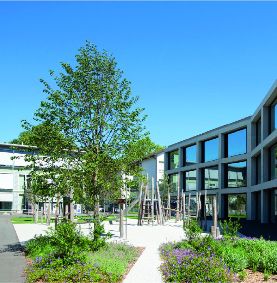 Mit Bäumen bepflanzter Schulhof – Vignettaz-Schule (FR)