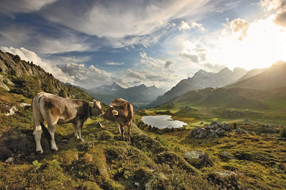 Naturpark Beverin © Schweiz Tourismus/BAFU