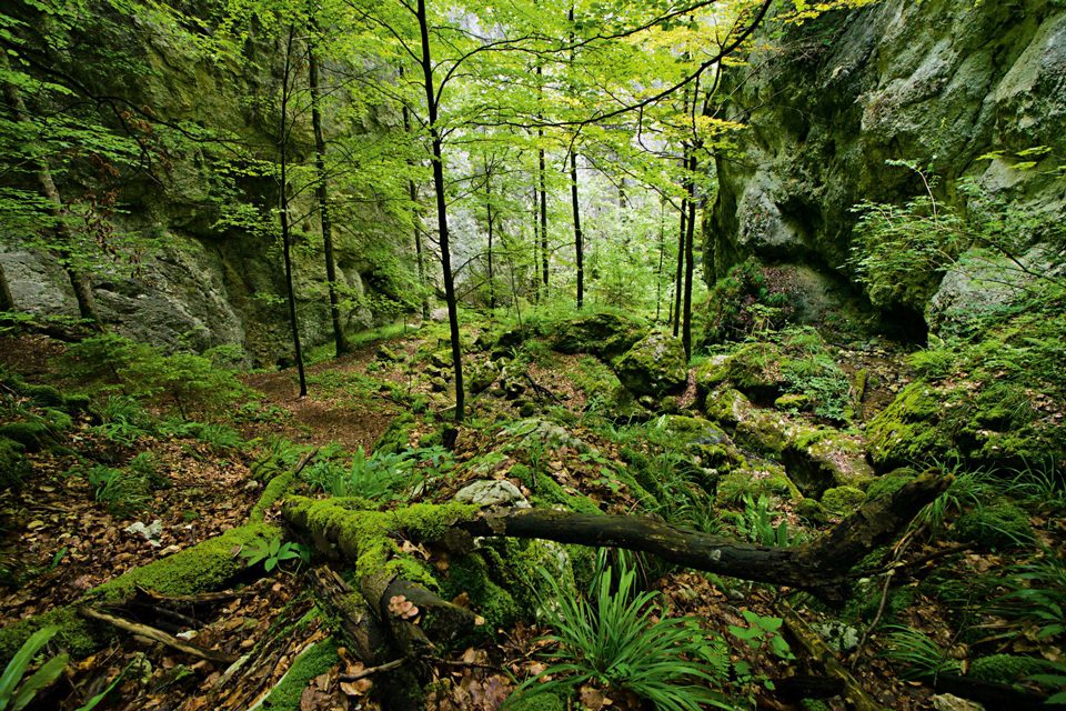 Naturpark Thal © Schweiz Tourismus/BAFU