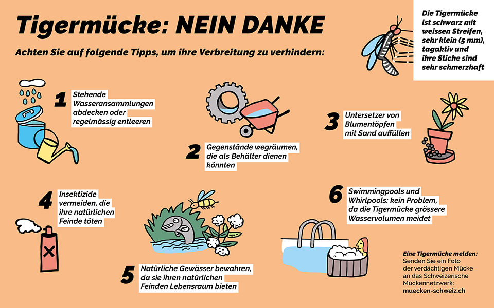 Tigermücke: NEIN DANKE!